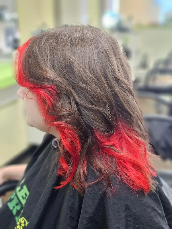 Lemon Tree Hair Salon Hurst — Hair salon in Hurst